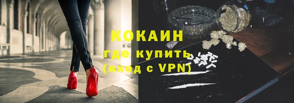 стаф Баксан