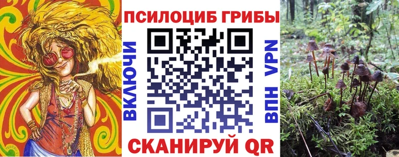 где можно купить   Нижний Ломов  Псилоцибиновые грибы Psilocybine cubensis 